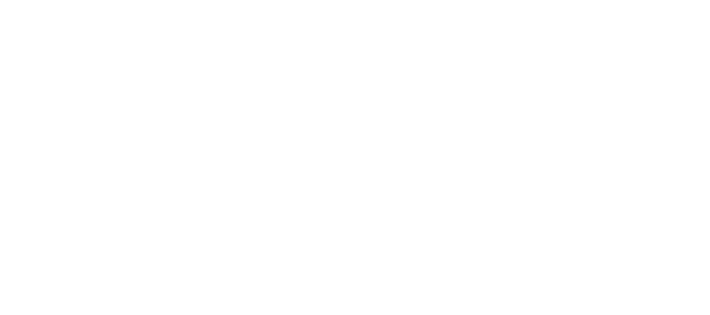 Enel x Store